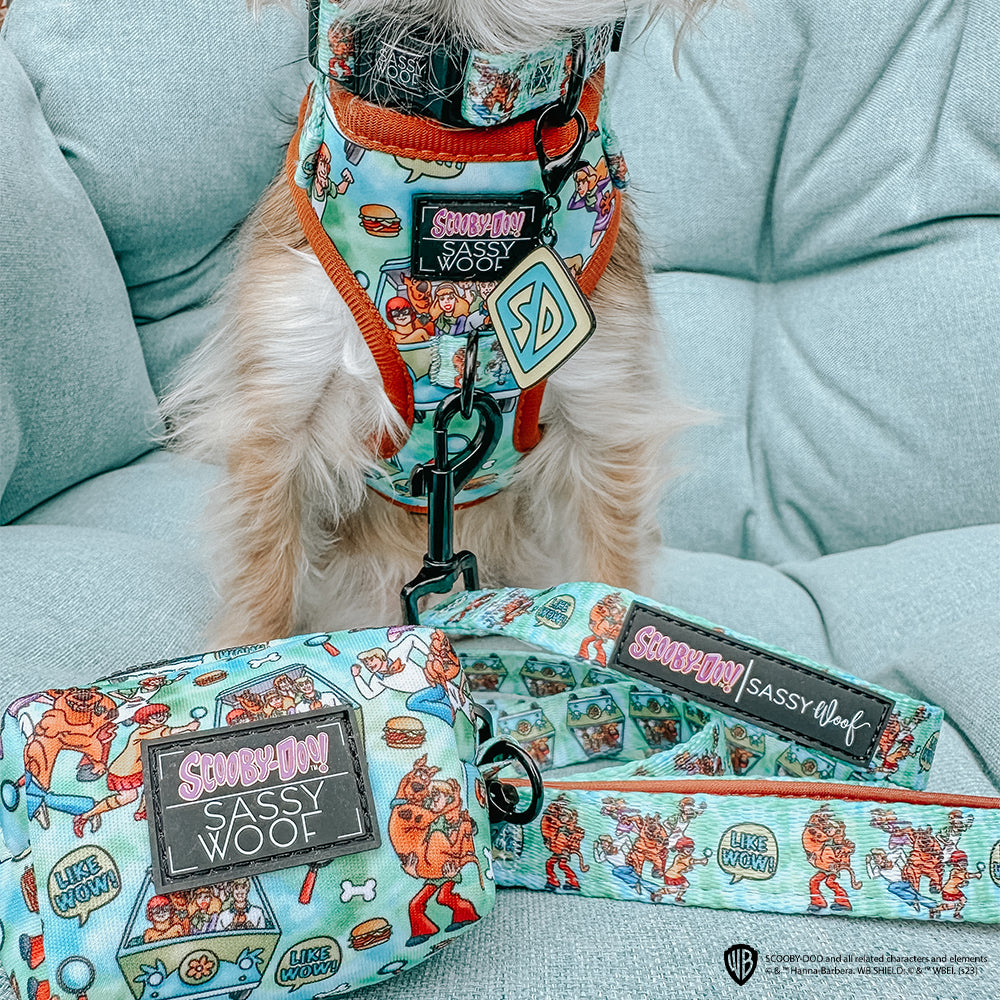 Collar Tag - Scooby-Doo™