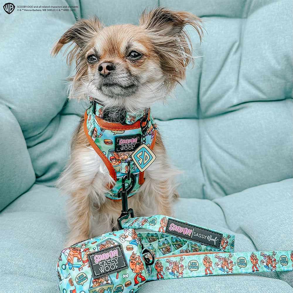 Dog Leash - Scooby-Doo™