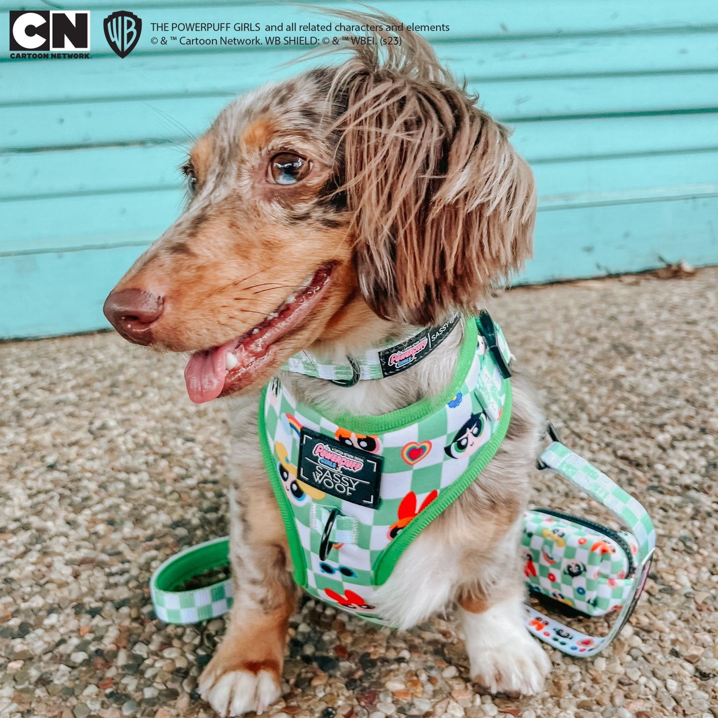 Dog Adjustable Harness - The Powerpuff Girls™ (Green)