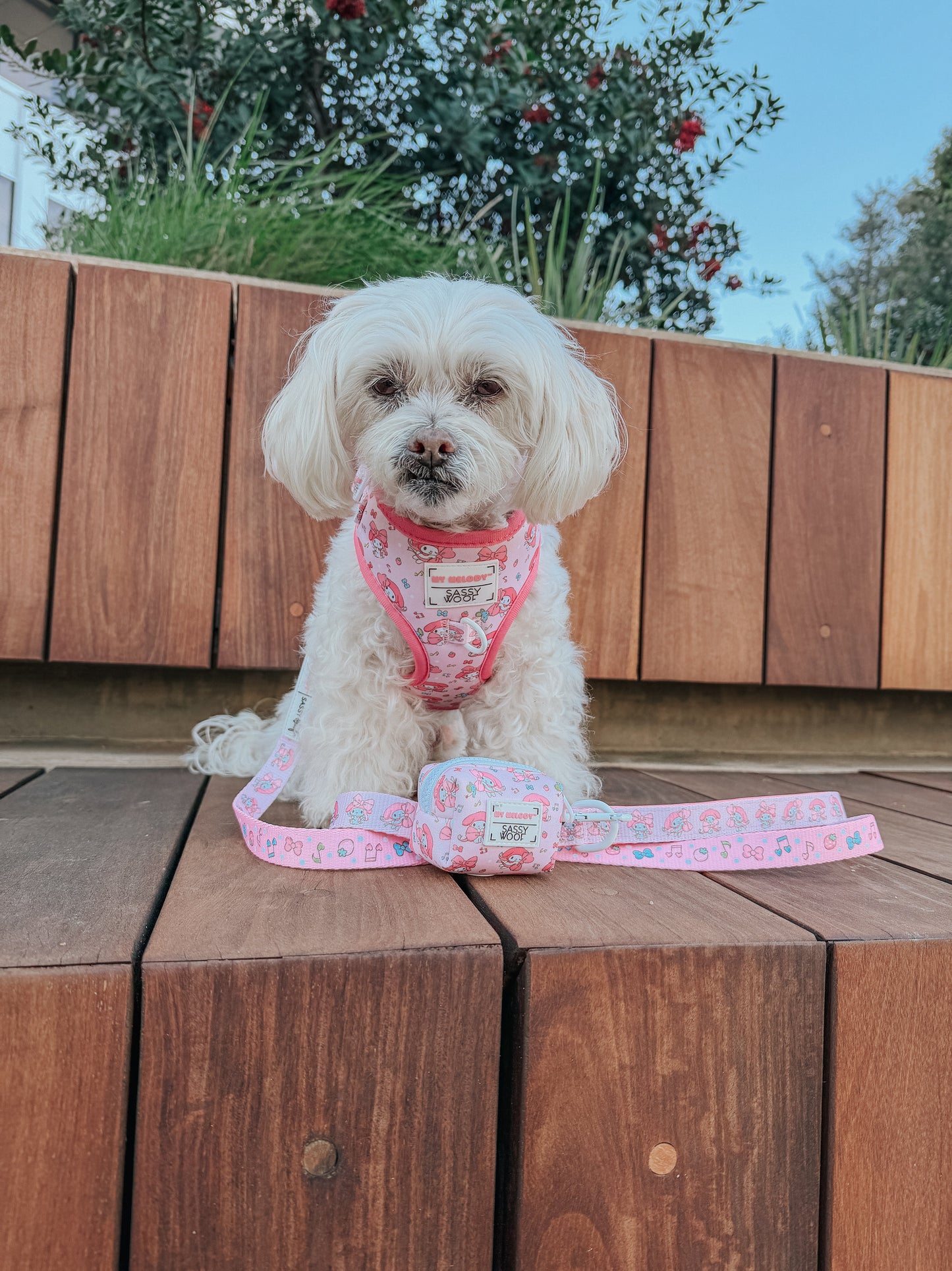 Dog Leash - My Melody™