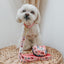 Dog Collar - STAR WARS™ Princess Leia