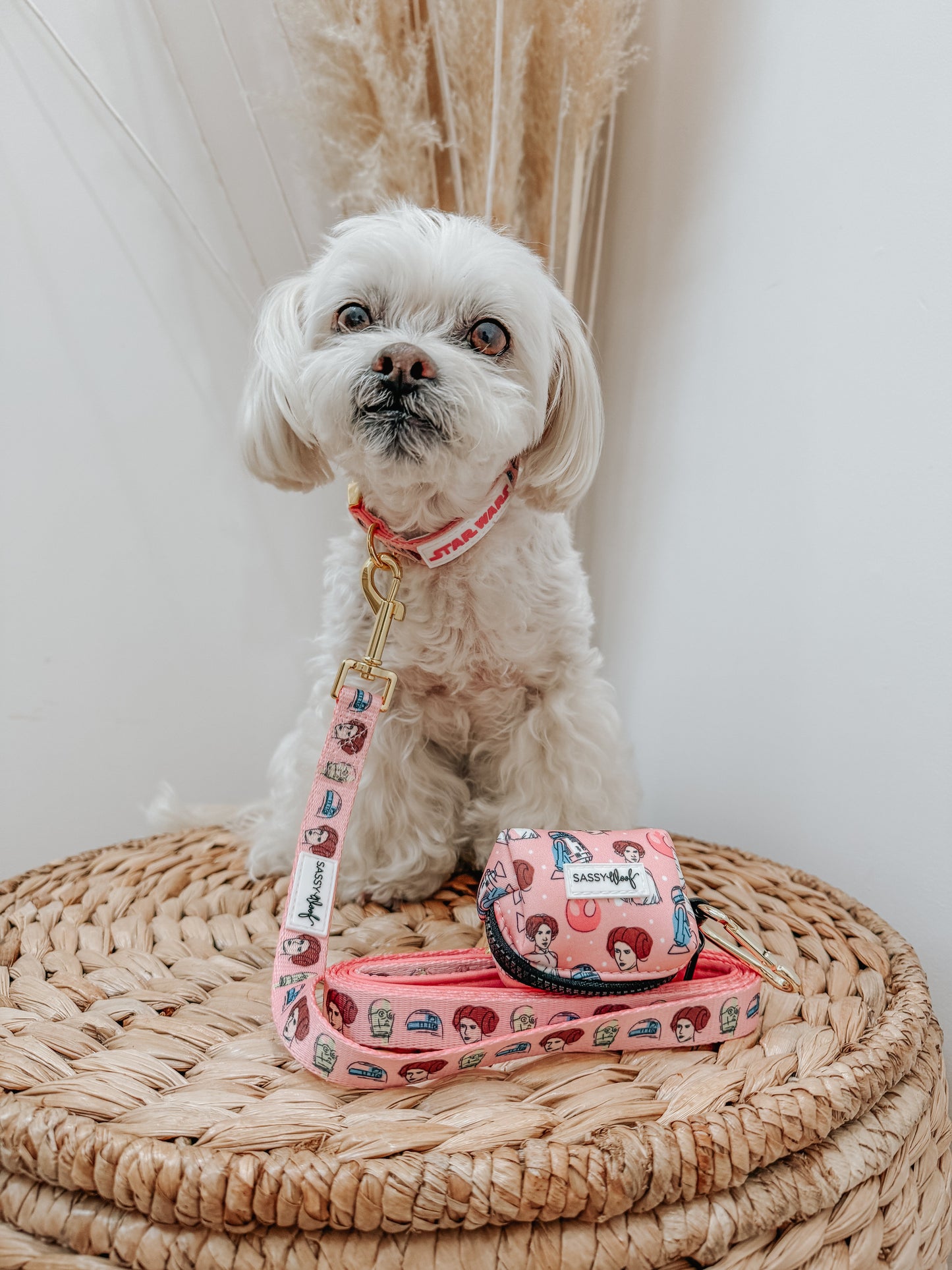 Dog Collar - STAR WARS™ Princess Leia