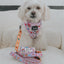 Dog Adjustable Harness - Alice in Wonderland (Purple)