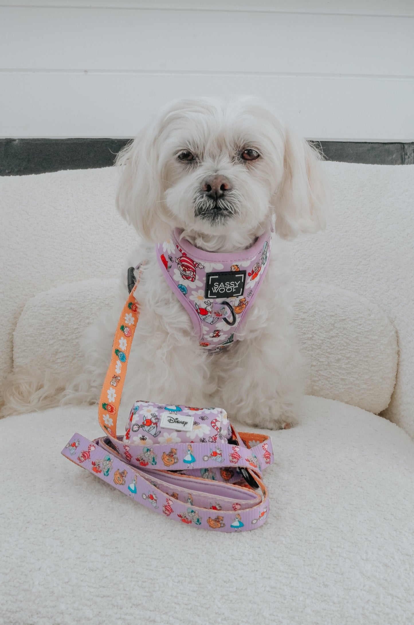 Dog Leash - Alice in Wonderland (Purple)