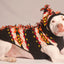 Mohawk Dog Sweater - XS