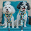 Dog Adjustable Harness - SpongeBob SquarePants™ Bikini Bottom