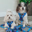 Dog Adjustable Harness - Blue's Clues™