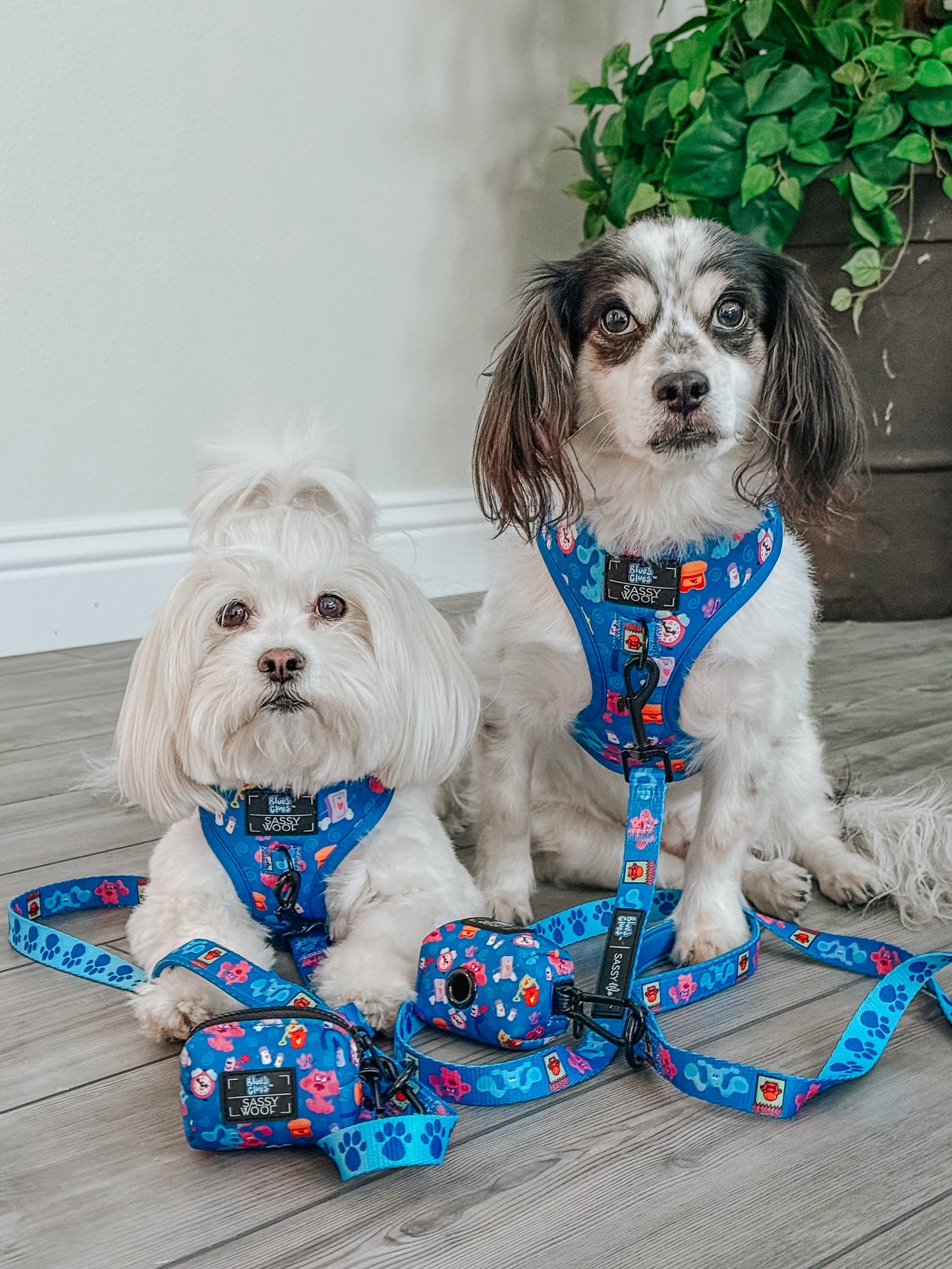 Dog Adjustable Harness - Blue's Clues™