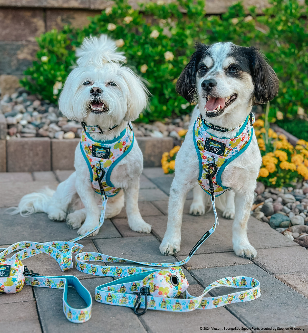 Dog Collar - SpongeBob SquarePants™ Bikini Bottom