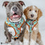 Dog Adjustable Harness - Scooby-Doo™