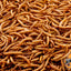 45Lbs Chubby Dried Mealworms