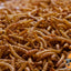 5Lbs Chubby Dried Mealworms