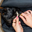 The Daily Carrier—Packable Luxury for Life on the Go