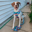 Dog Adjustable Harness - SpongeBob SquarePants™ and Friends