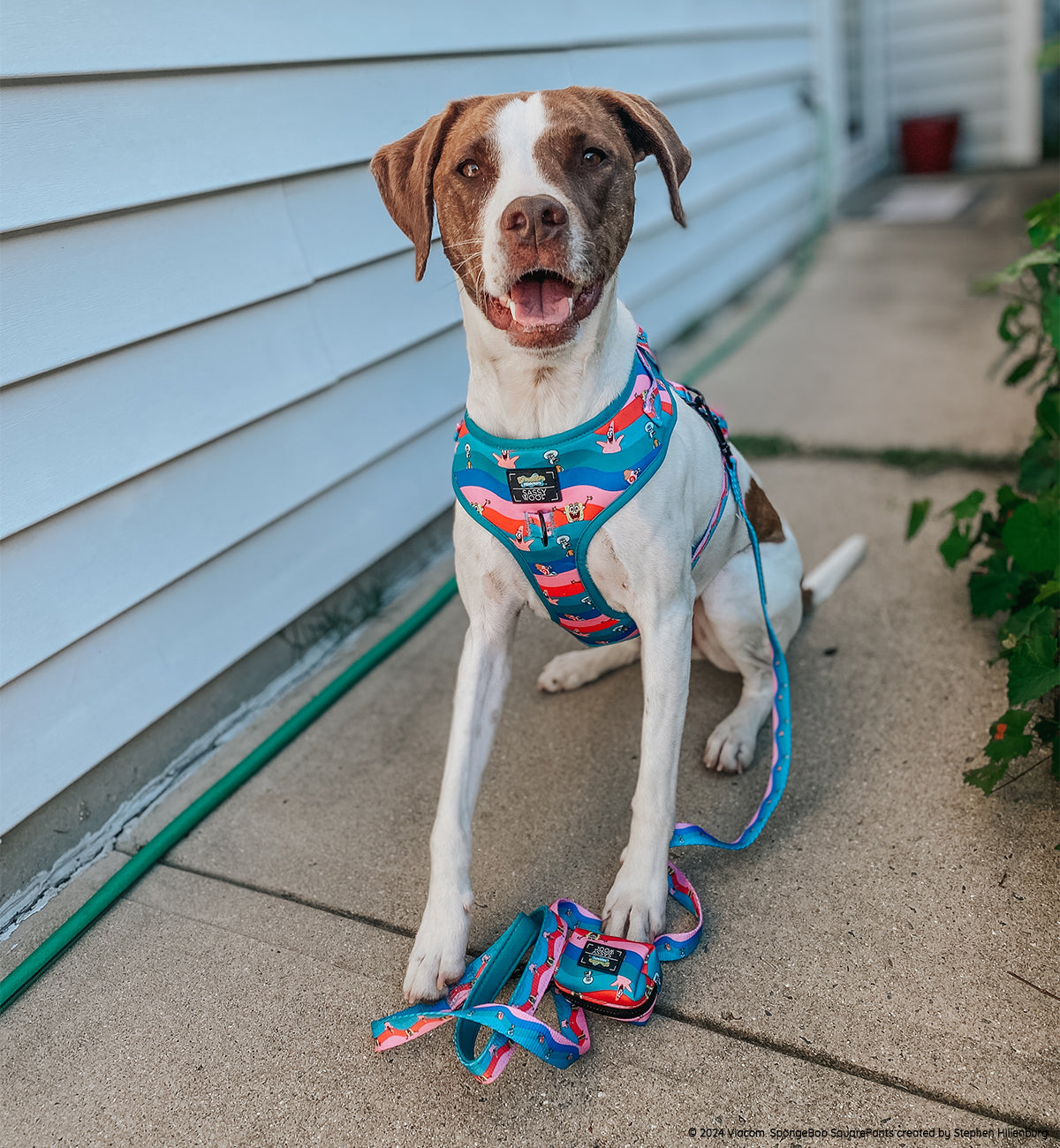 Dog Adjustable Harness - SpongeBob SquarePants™ and Friends