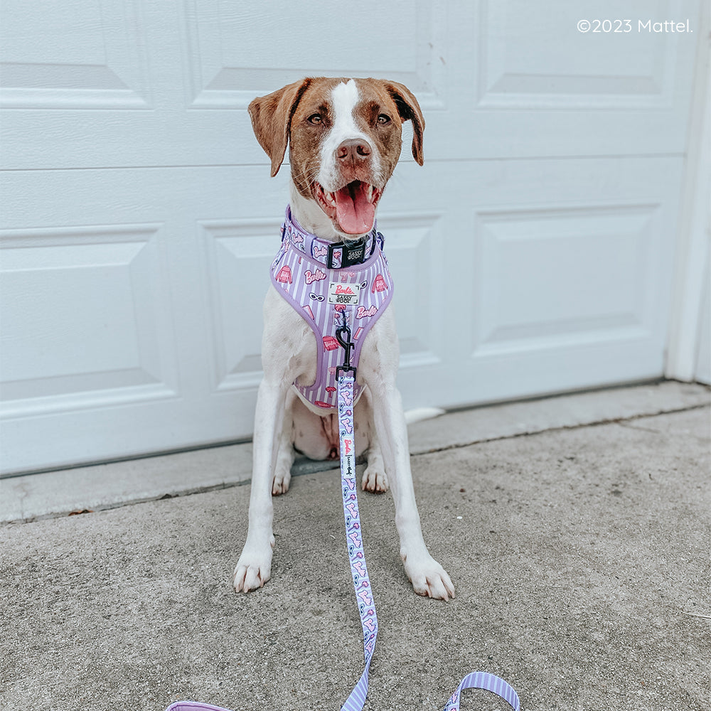 Dog Adjustable Harness - BARBIE™ Closet Goals