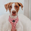 Dog Adjustable Harness - Sweet Treats