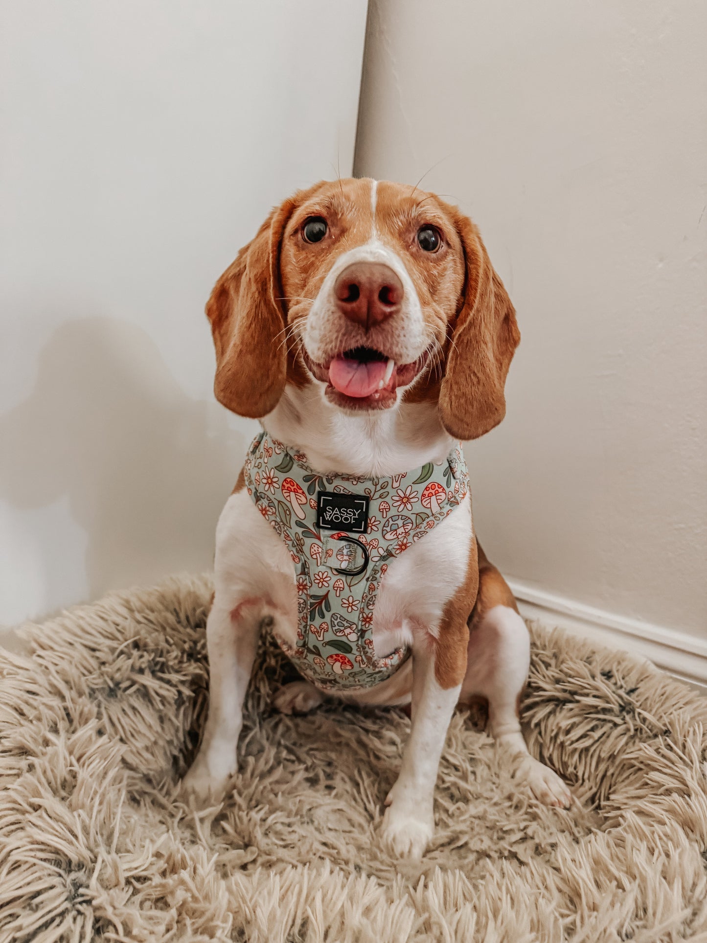 Dog Adjustable Harness - Shrooms & Blooms