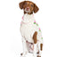 Rose Bud Dog Sweater