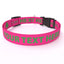 Personalized Dog Collar with Name - Solid Colors