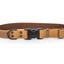 Celtic Sport Quick-Release Leather Dog Collar