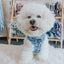 Dog Adjustable Harness - Mama's Boy