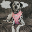 Dog Adjustable Harness - Care Bears™ Cheer Bear