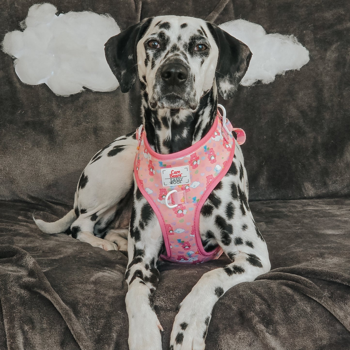 Dog Adjustable Harness - Care Bears™ Cheer Bear