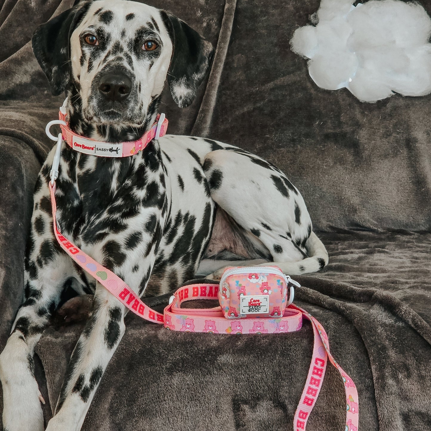 Dog Collar - Care Bears™ Cheer Bear