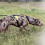 Julius-K9 Mantrailing Dog Harness