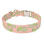 Melon Paisley Dog Collar