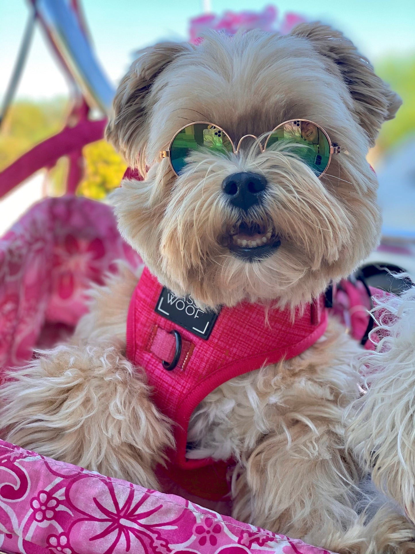 Dog Adjustable Harness - Merlot