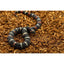 MicroChip Fine Coconut Chip Mix; Ready to Use