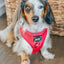 Dog Adjustable Harness - Merlot