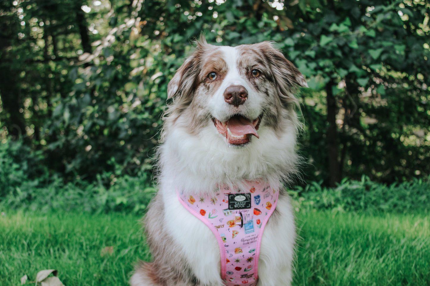 Dog Adjustable Harness - Gilmore Girls™