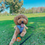 Dog Adjustable Harness - Nickelodeon Rugrats™