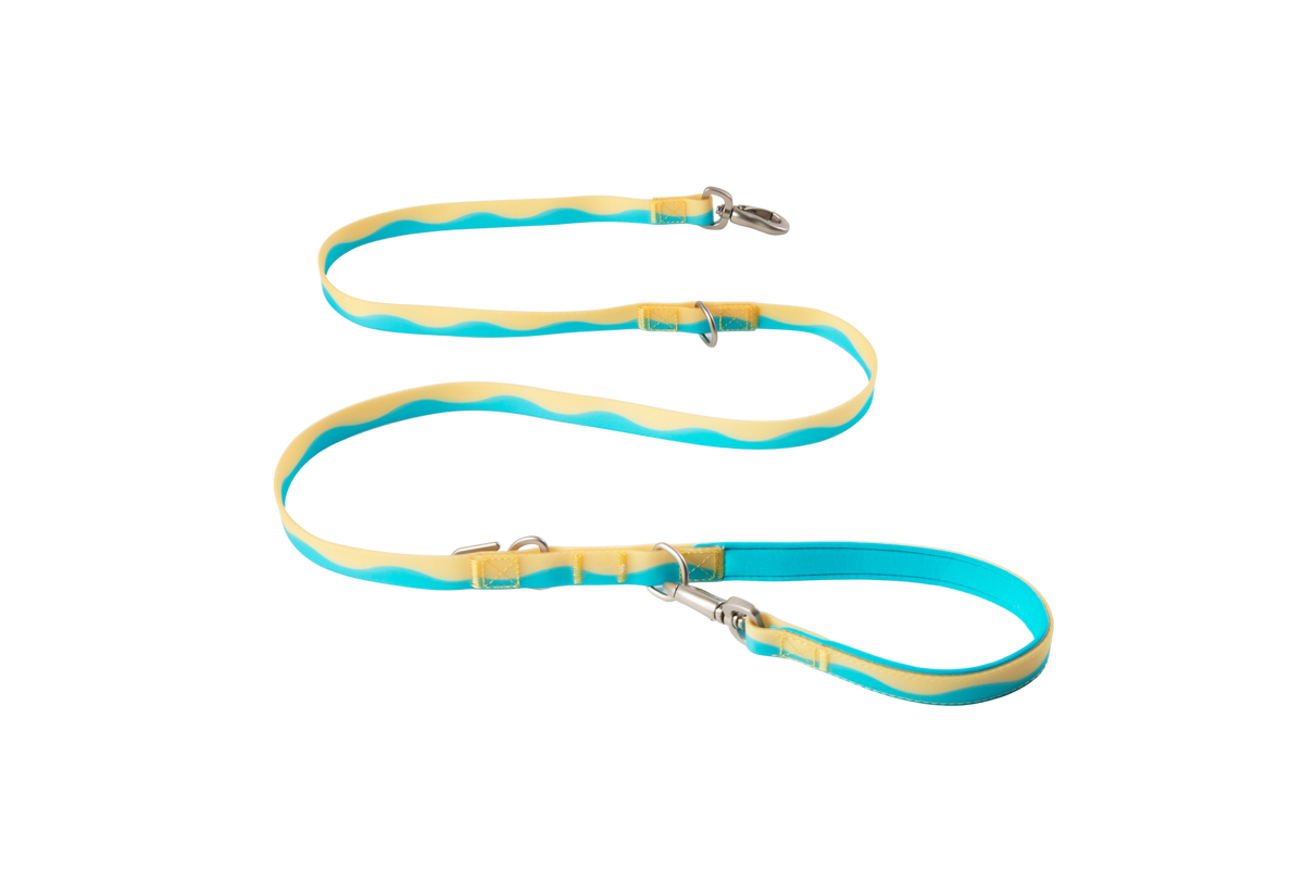 Waterproof Dog Leash - 5ft