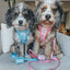 Dog Leash - Cinnamoroll™