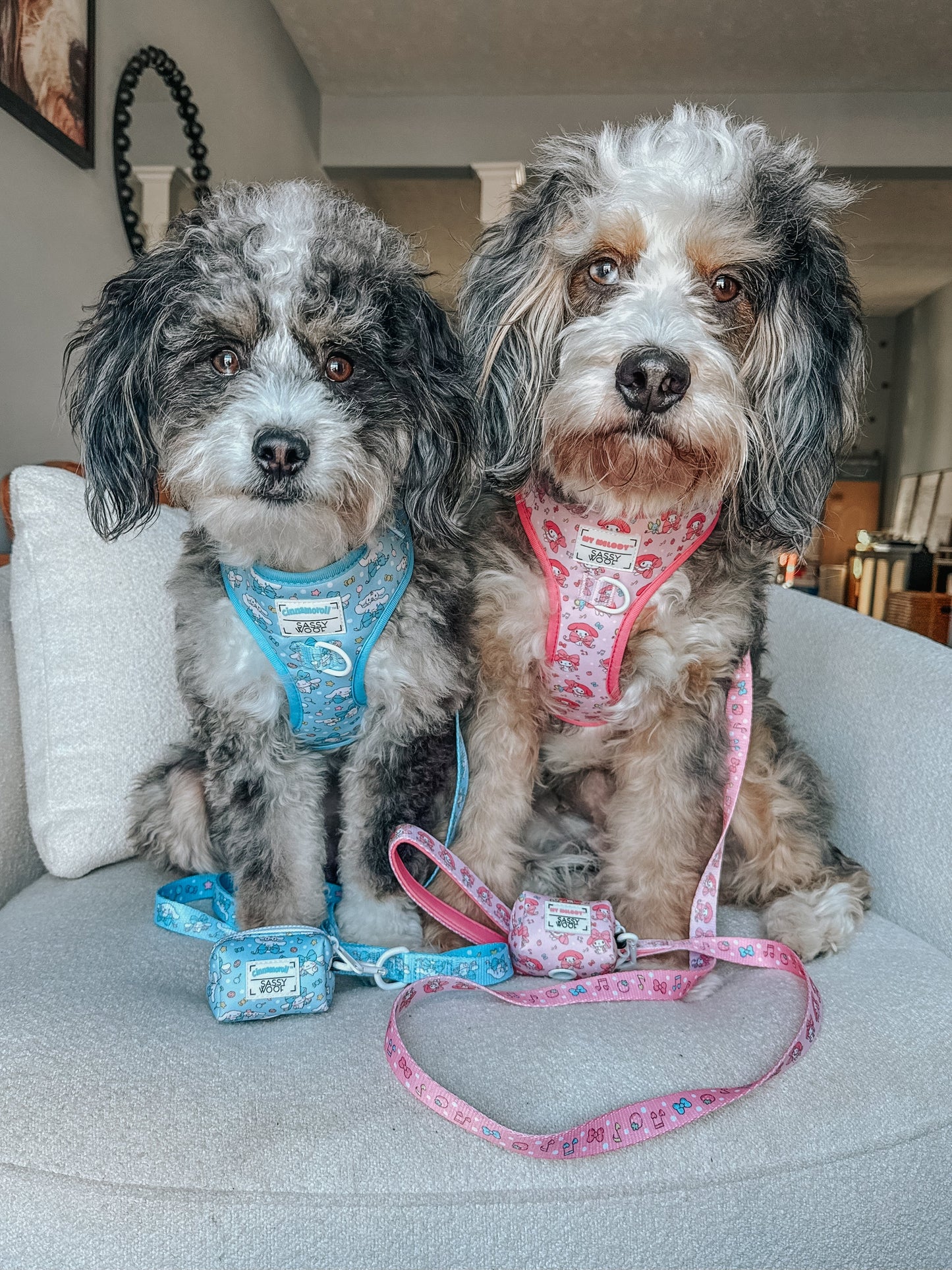 Dog Leash - Cinnamoroll™