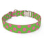 Pink and Green Polka Dot Dog Collar