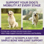 HOLI+ Collagen for Dogs