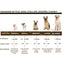 Modern Style Quick-Release Khaki Leather Dog Collar