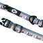 Outdoor Style Mountain Sunset Nylon Dog Collar