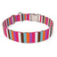 Multi-Stripe Dog Collar
