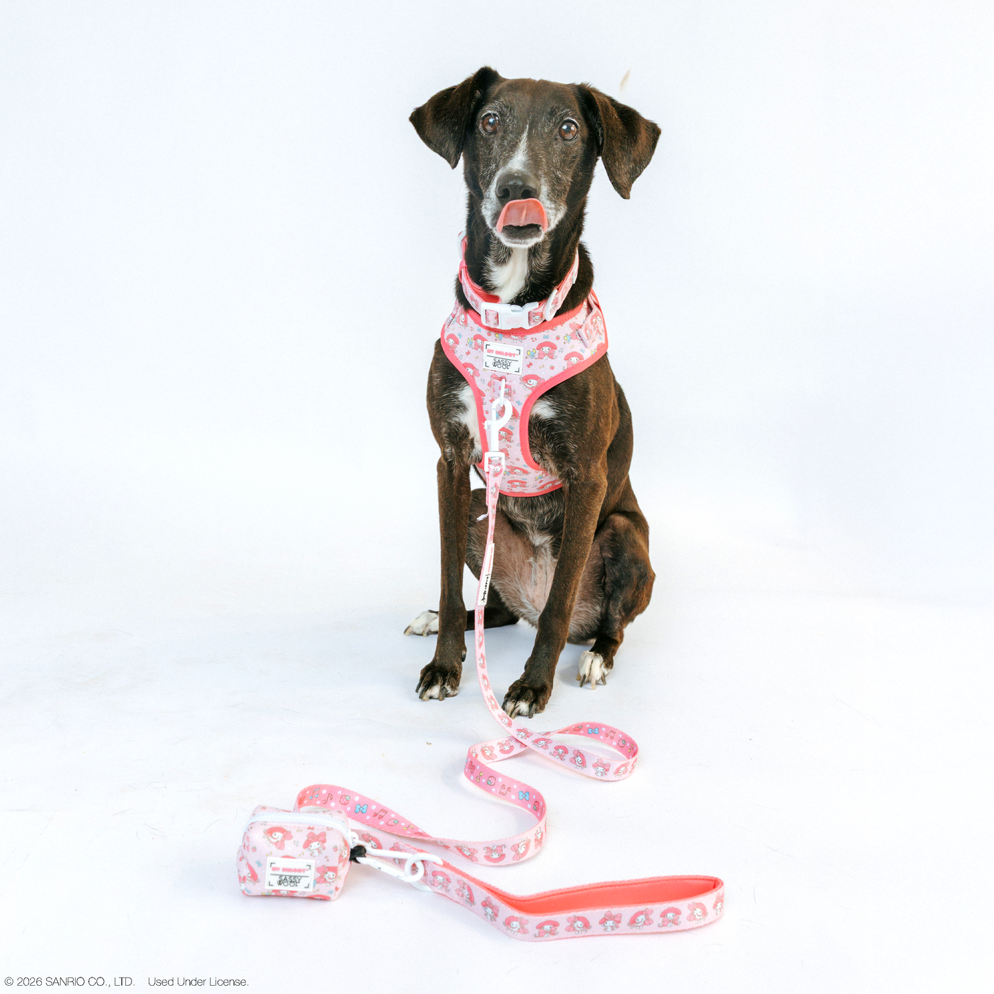 Dog Adjustable Harness - My Melody™
