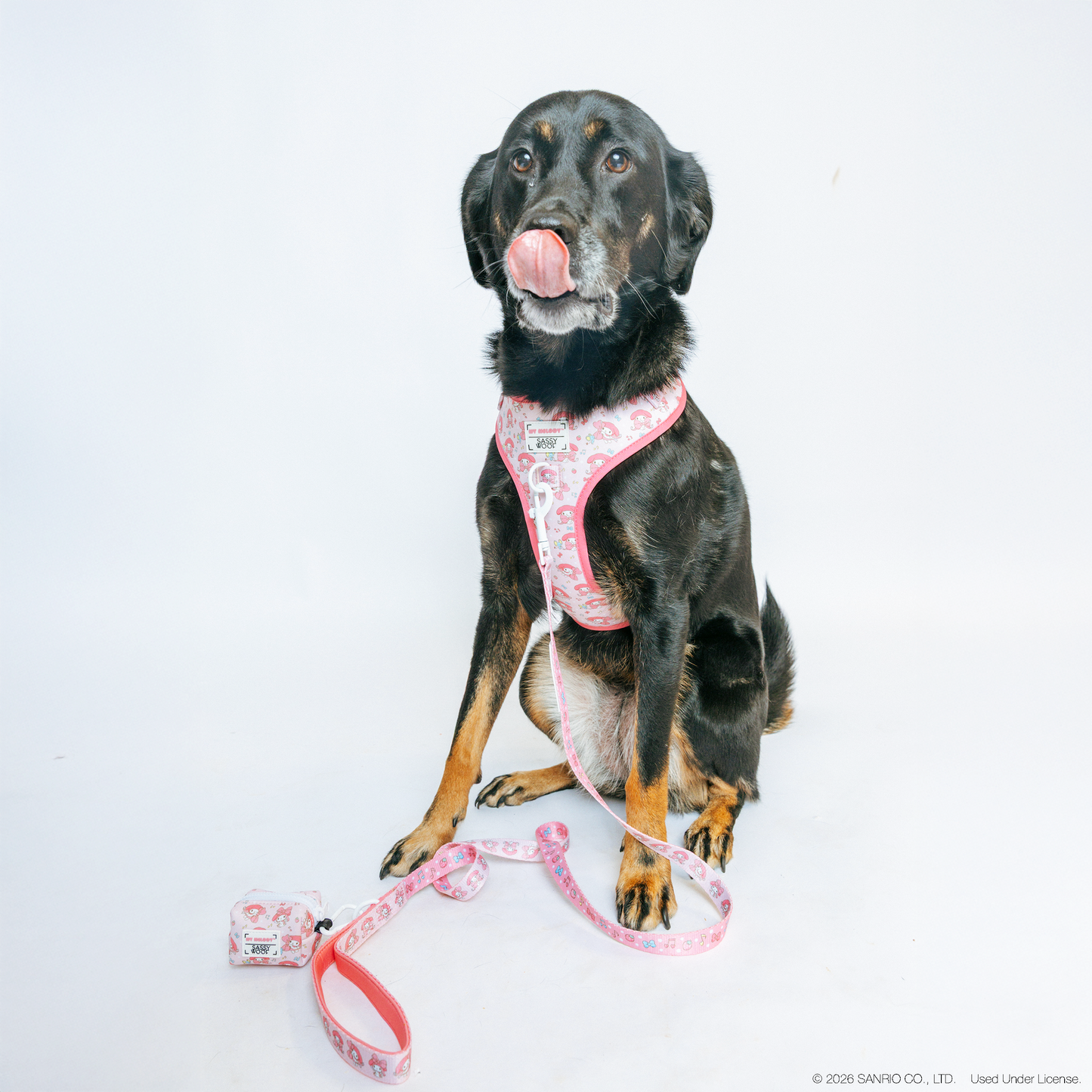 Dog Leash - My Melody™