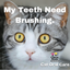 Oral Care Floss & Treat Toothbrush Toy for Cats
