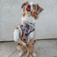 Dog Collar - The Nightmare Before Christmas™ (Beige)