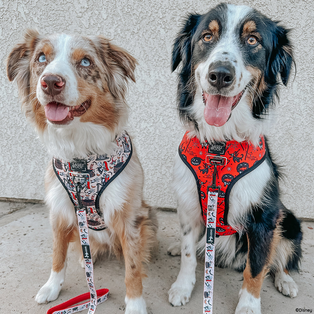Reversible Harness - The Nightmare Before Christmas™