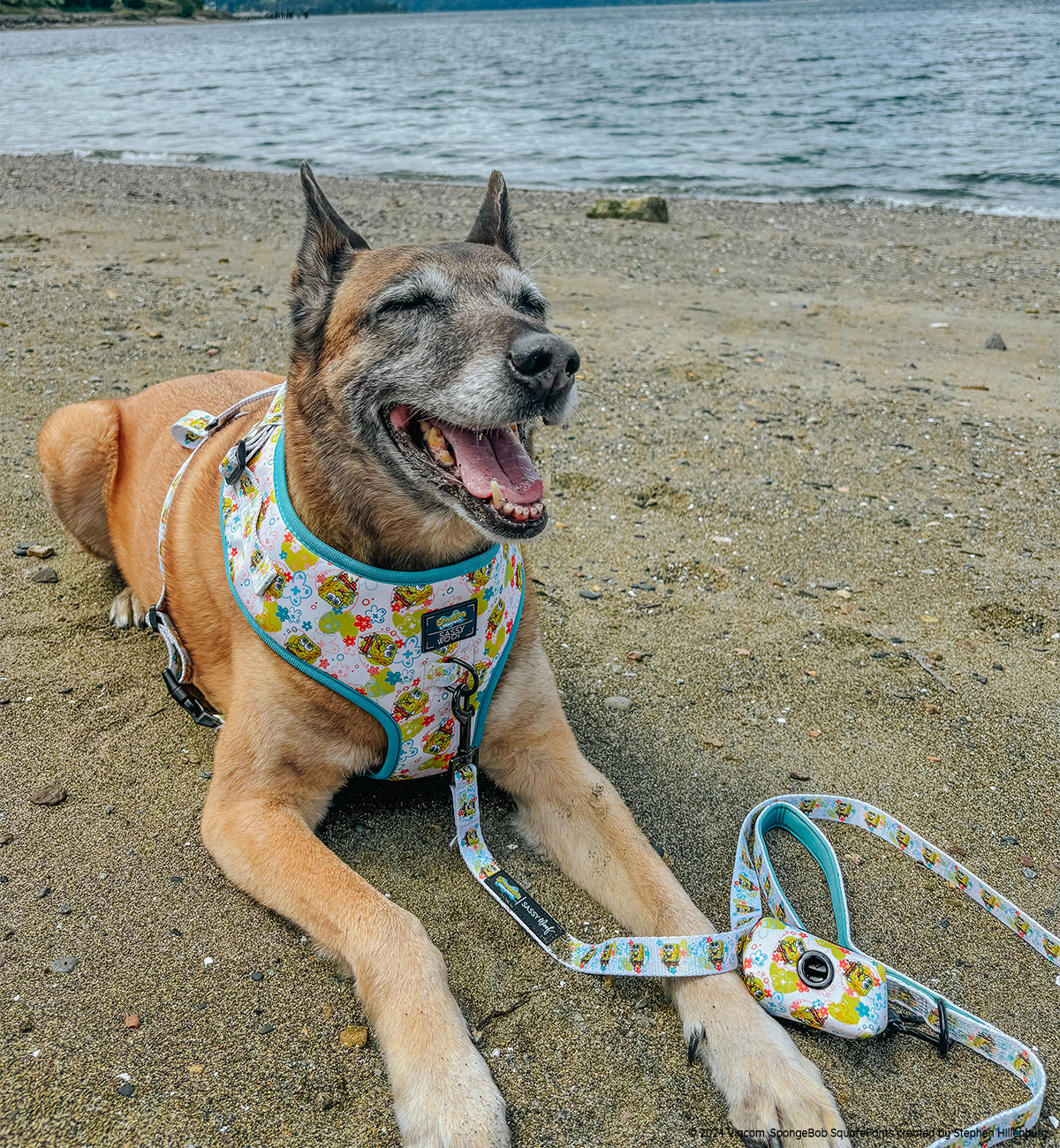 Dog Leash - SpongeBob SquarePants™ Bikini Bottom